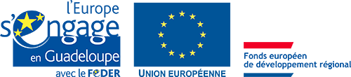 logo_fond_europeen_guadeloupe